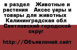  в раздел : Животные и растения » Аксесcуары и товары для животных . Калининградская обл.,Светловский городской округ 